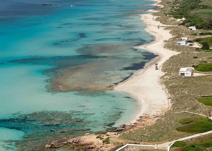 Agua Turquesa فيلة *