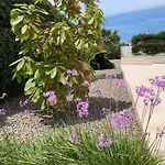 Agua Turquesa Villa Punta Prima (Menorca)